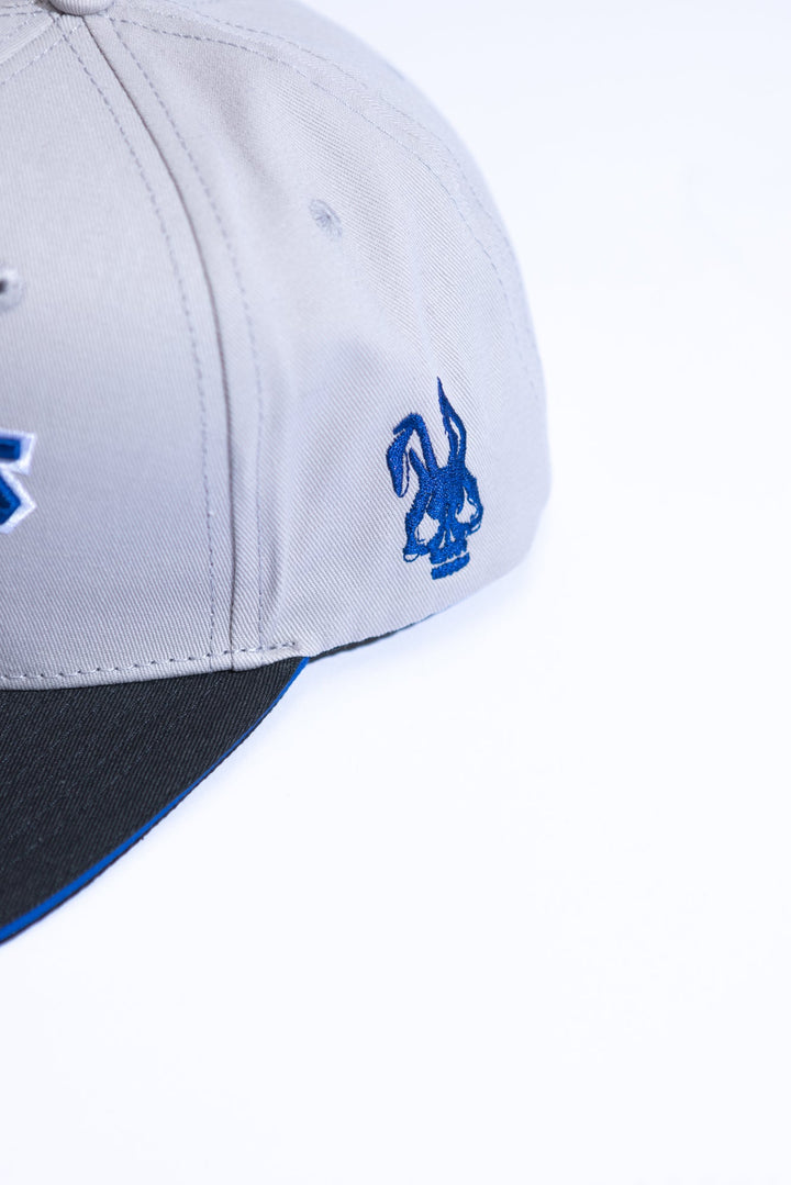 M.O.D Cap Grey Edition